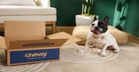 Consolidated Pet Insurance Plans