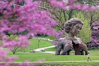 Nature-Inspired Installations Image 1