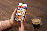 Social Media Round-Up Features Image 1
