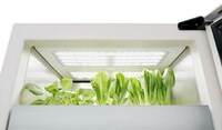 Perennial Indoor Gardening Systems Image 2