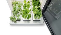 Perennial Indoor Gardening Systems Image 4