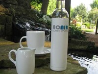 Full-Immersion Vacuum Coffee Brewers