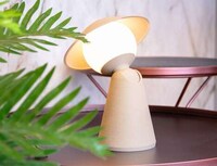 Character-Like Wireless Illuminators Image 5