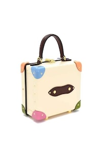 Colorful Luggage Collabs Image 3