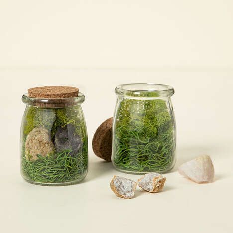 Natural Moss Terrarium Petite Foret Plus Launches on Kickstarter