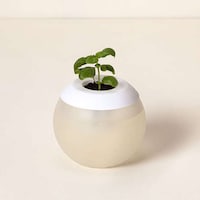 Spherical Self-Watering Pots Image 1