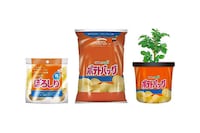 Potato Chip Grow Kits