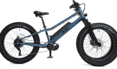 Three-Wheeled Electric Fatbikes