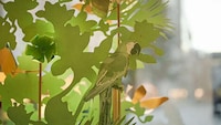 Enchanting Phygital Sensory Experiences Image 3