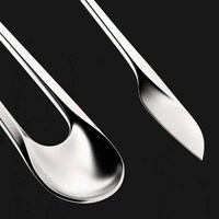 Fashionable Fusion Cutlery Collections Image 5