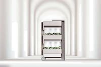 Architecture-Inspired Indoor Gardens Image 2
