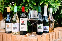 Lifetime Wine Subscriptions Image 1