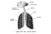 Algae-Powered Metal Lung Concepts Image 4