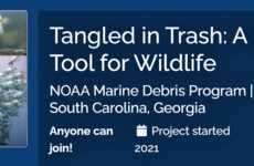 Debris-Reporting Wildlife Apps