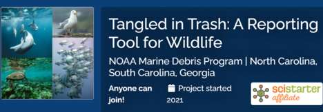 Debris-Reporting Wildlife Apps