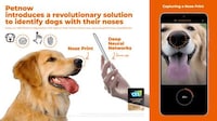 AI-Driven Pet Apps Image 1