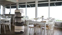 Multifunctional Serving Robots