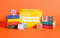 Plant-Based Resolution Boxes Image 1