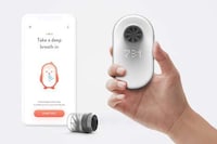 Lung Health-Tracking Devices Image 1
