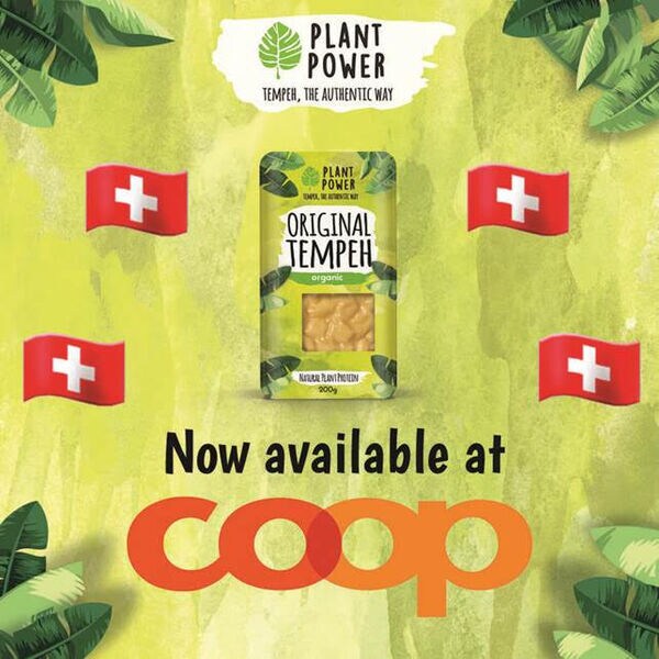 Tempeh Retailer Expansions