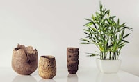 Repurposed Wooden Vessels Image 7