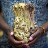 Repurposed Wooden Vessels Image 8