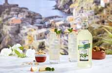 Non-Alcoholic Elderflower Aperitivos