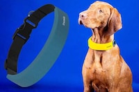 Biometric GPS Canine Collars Image 6