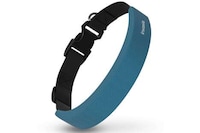 Biometric GPS Canine Collars Image 7