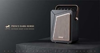 Minimalist Asymmetrical Speaker Units Image 2