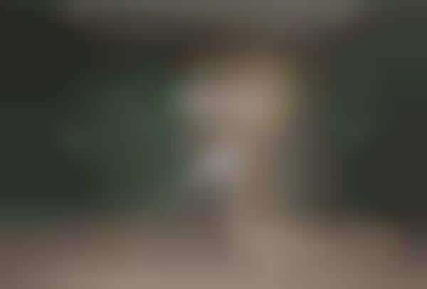 Skyline-Inspired Collections