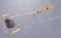 Powerful Bengali Music Instruments Image 5