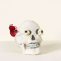 Anatomical Plush Toys