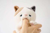 Robotic Stress-Relieving Cats