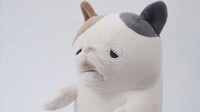 Robotic Stress-Relieving Cats Image 3