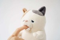 Robotic Stress-Relieving Cats Image 4