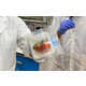 Antibacterial Biodegradable Packaging Image 1