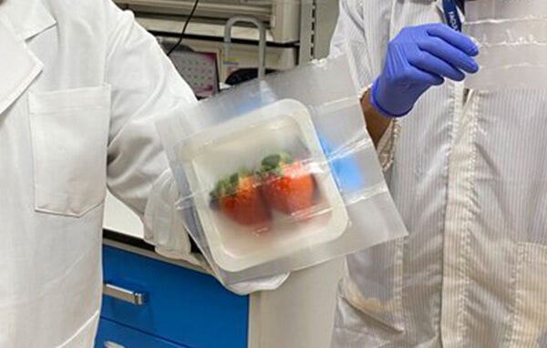 Antibacterial Biodegradable Packaging