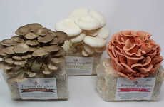 At-Home Mushroom Gardening Kits