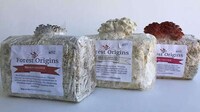 At-Home Mushroom Gardening Kits Image 3