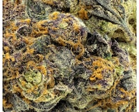 Indigenous Cannabis Producers Image 4