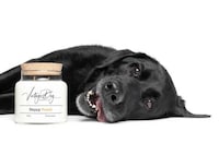 Pet-Friendly Candles