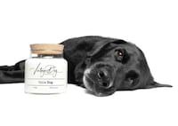 Pet-Friendly Candles Image 2