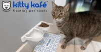 Health-Focused Pet Bowls Image 2