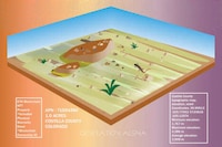 Real-World Property NFTs Image 2