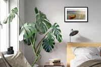 NFT-Focused Home Art Murals Image 1