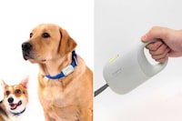 Connected Pet Care Systems