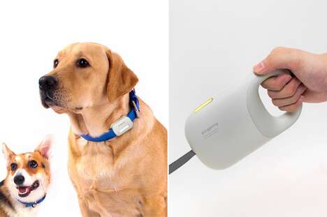 Connected Pet Care Systems
