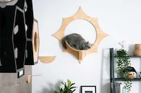 Timber Sun-Inspired Pet Perches Image 1