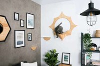 Timber Sun-Inspired Pet Perches Image 2
